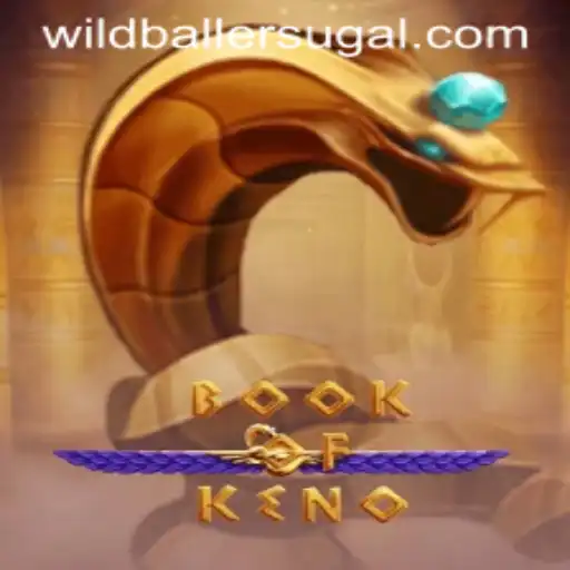 BookOfKeno: A Wild Gaming Experience at Wild Baller Casino